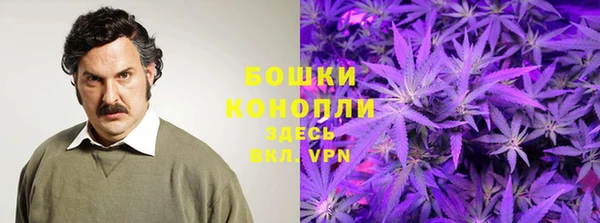 тгк Балахна