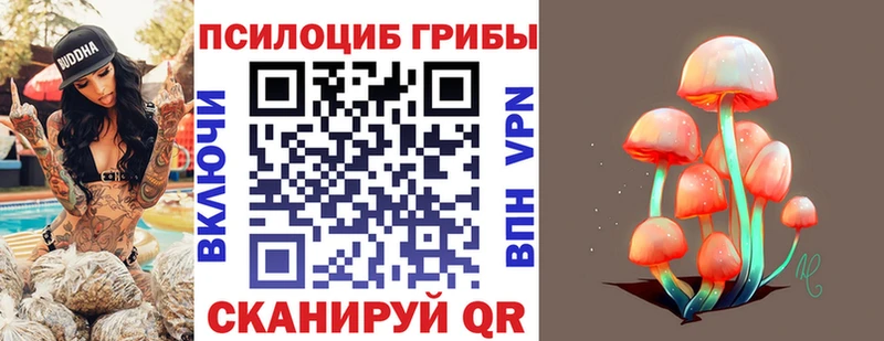 Купить закладки  Югорск  Псилоцибиновые грибы Psilocybine cubensis 